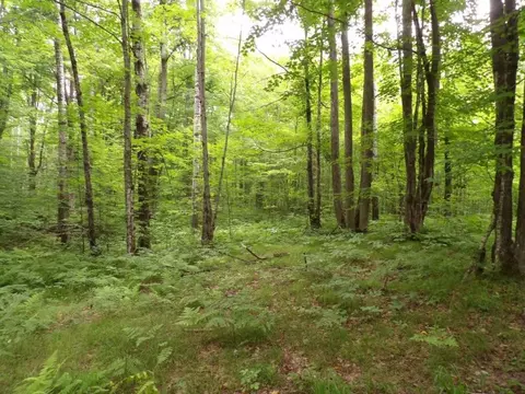 w9499 High Bridge Trail, Phillips, WI 54555 photo 13