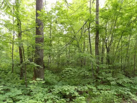 w9499 High Bridge Trail, Phillips, WI 54555 photo 17