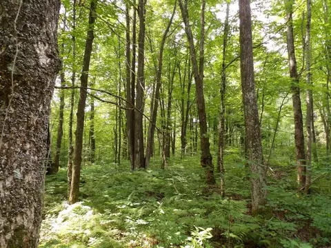w9499 High Bridge Trail, Phillips, WI 54555 photo 18