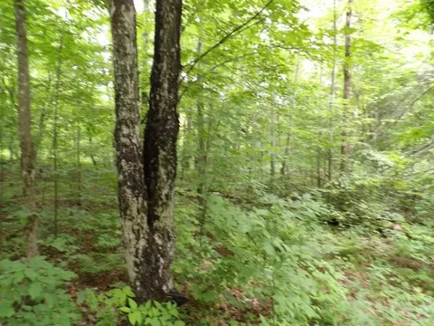 w9499 High Bridge Trail, Phillips, WI 54555 photo 14