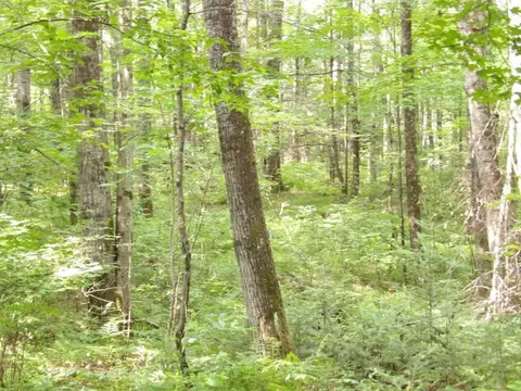 w9499 High Bridge Trail, Phillips, WI 54555 photo 16