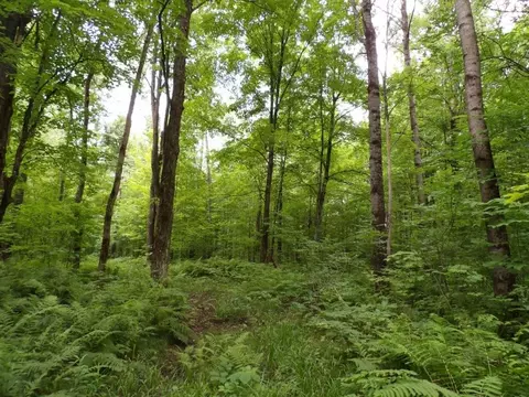 w9499 High Bridge Trail, Phillips, WI 54555 photo 12