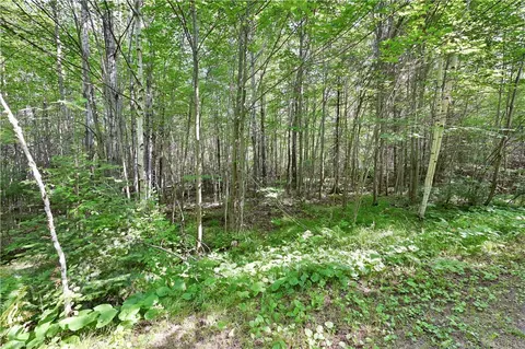 lot4 Warner Dr, Hayward, WI 54843