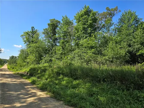lot8 Hemlock Rd, Eleva, WI 54738
