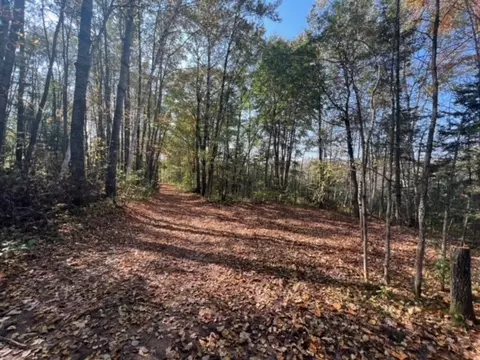 lot1 State Highway 64, Cornell, WI 54732