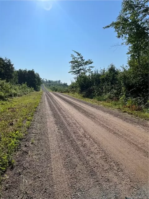 24405 E Stoney Lonesome Rd, Boyd, WI 54726