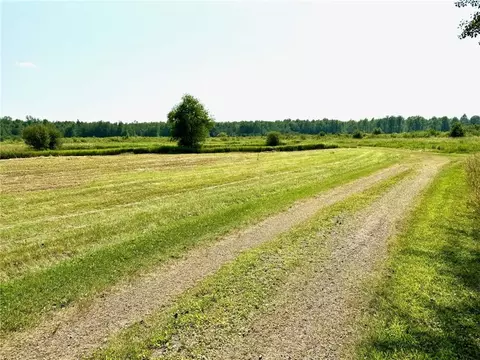 1145 N School Rd, Thorp, WI 54771 photo 27