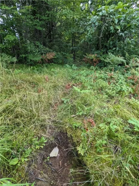 lot0 N Us Highway 63, Cable, WI 54821 photo 21