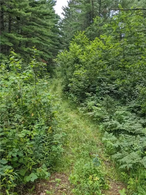 lot0 N Us Highway 63, Cable, WI 54821 photo 22