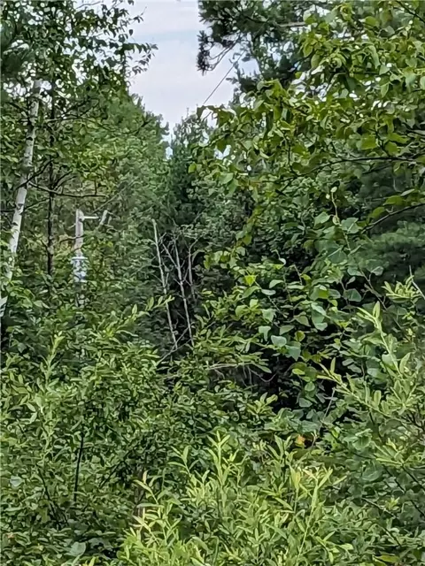 lot0 N Us Highway 63, Cable, WI 54821 photo 4