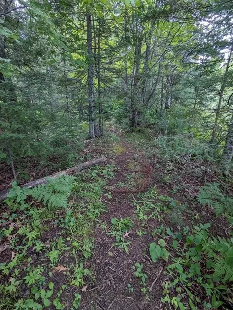 lot0 N Us Highway 63, Cable, WI 54821 photo 19