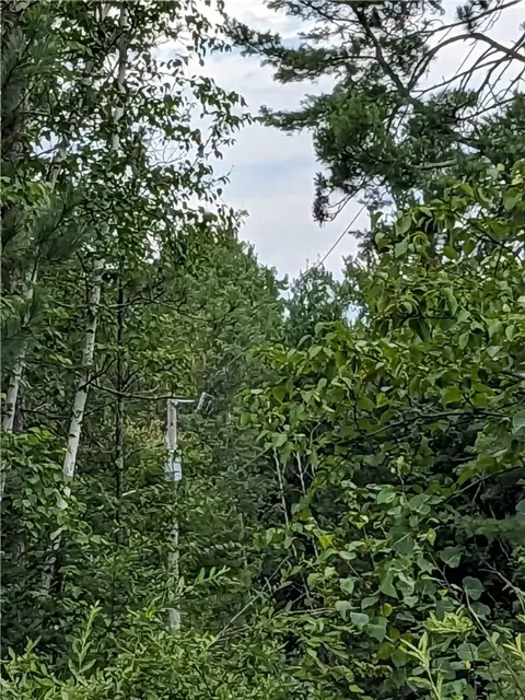 lot0 N Us Highway 63, Cable, WI 54821 photo 10