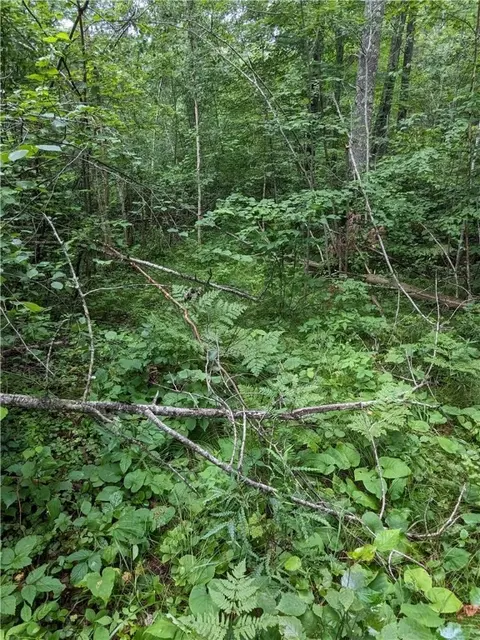 lot0 N Us Highway 63, Cable, WI 54821 photo 6