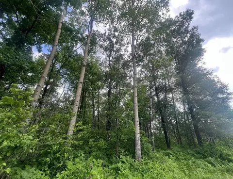 Undisclosed, Springbrook, WI 54875 photo 3
