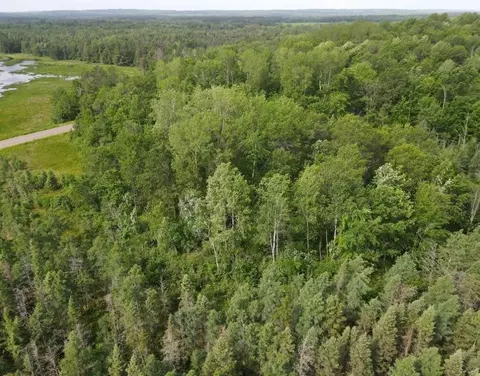 Undisclosed, Springbrook, WI 54875 photo 10