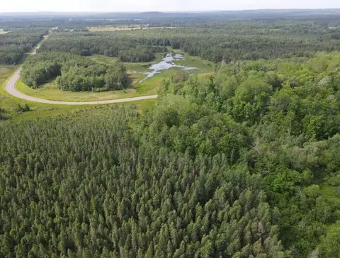 Undisclosed, Springbrook, WI 54875 photo 6