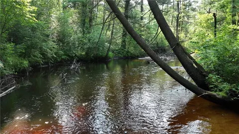 Nn Wilderness Trail, Black River Falls, WI 54615
