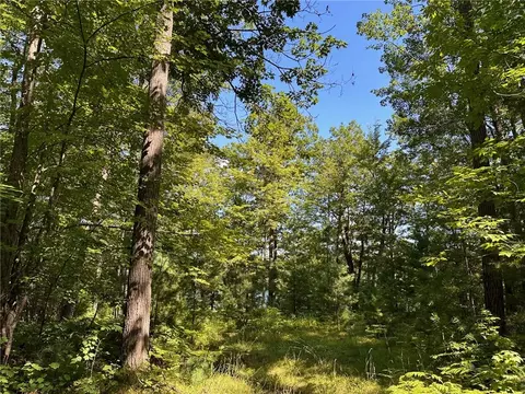 lot4 Oriole Ln, Hayward, WI 54843
