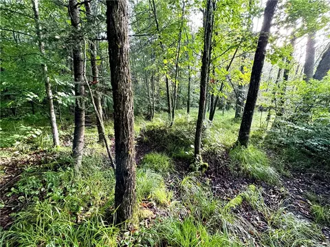 27520 Bunte Shack Rd, Glidden, WI 54527 photo 8