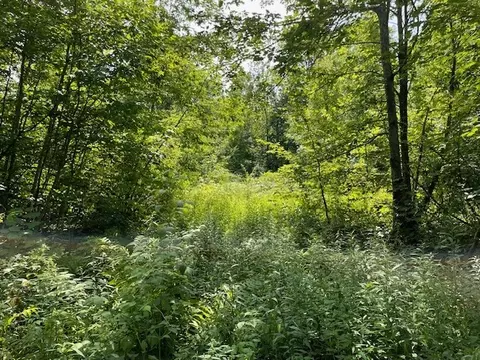 00 Helsing Rd, Ojibwa, WI 54862