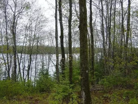 11598 N Farnsworth Rd, Hayward, WI 54843