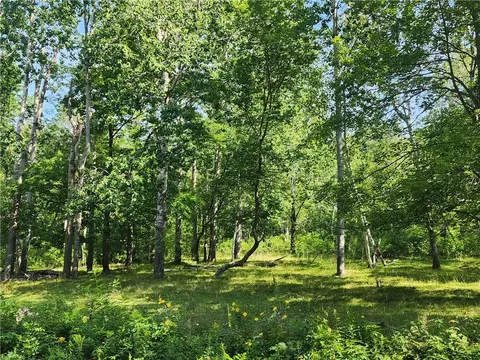 n2125 Narrow Gauge Road, Shell Lake, WI 54871