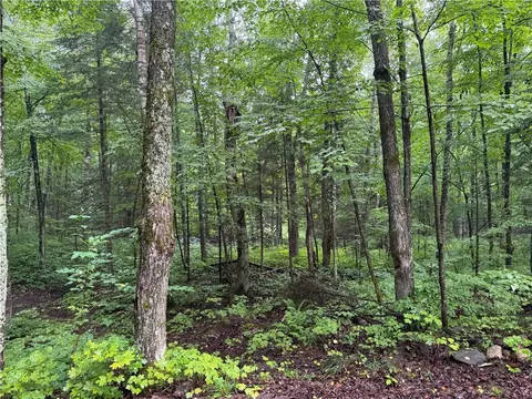 lot2 N Scheers Rd, Hayward, WI 54843