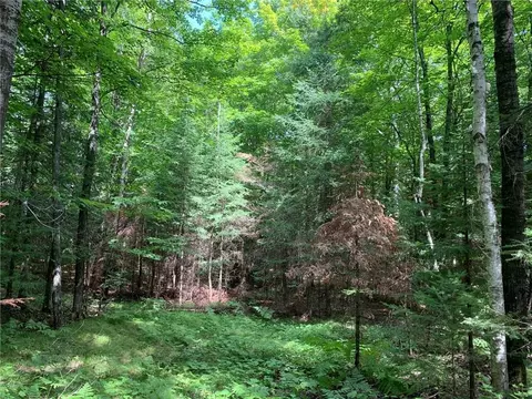 40 A On Old 13 Rd, Fifield, WI 54524 photo 8