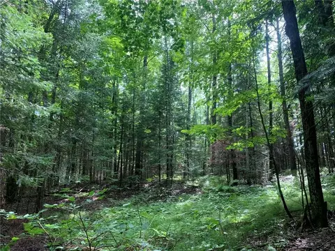 40 A On Old 13 Rd, Fifield, WI 54524 photo 9