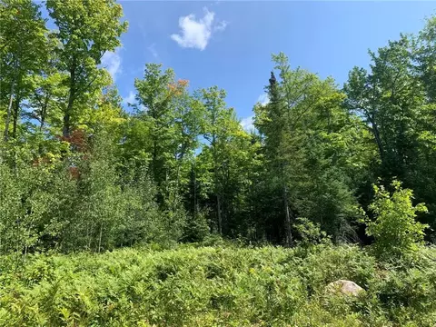 36 Acres On Dynamite Rd, Fifield, WI 54524