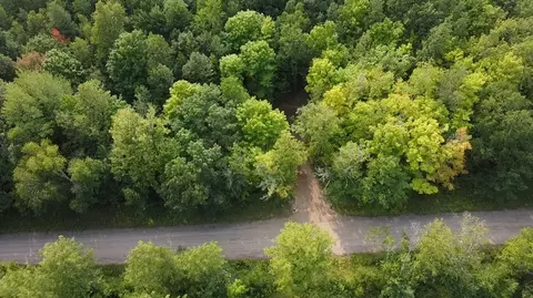 lot2 Universal Dr, Winter, WI 54896 photo 11