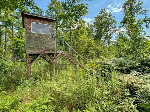 Exterior - 2385 60th St, Luck, WI 54853 photo 8 of 13