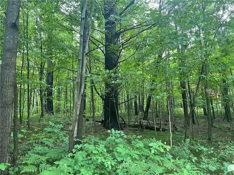 00 County Road B, Shell Lake, WI 54871