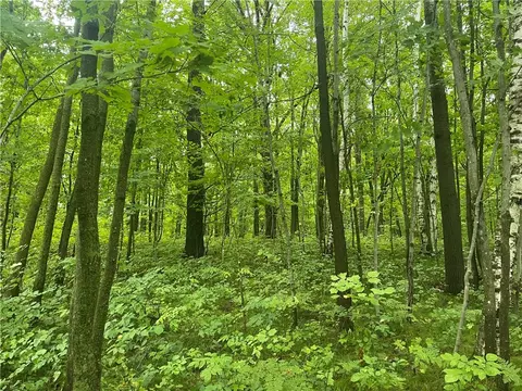 00 County Road B, Shell Lake, WI 54871 photo 8