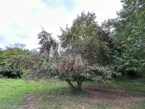 s687 Patrow Road, Eleva, WI 54738 photo 5