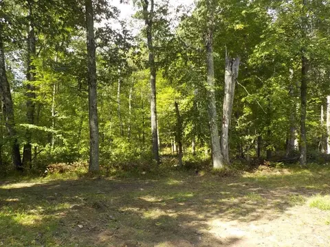 28524 Palmborg Dr, Danbury, WI 54830