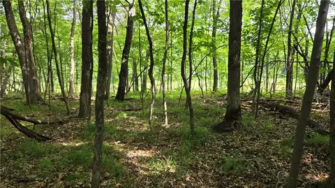 27685 Alden Rd, Webster, WI 54893 photo 2