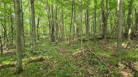 27685 Alden Rd, Webster, WI 54893 photo 7