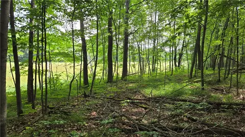 27685 Alden Rd, Webster, WI 54893 photo 10