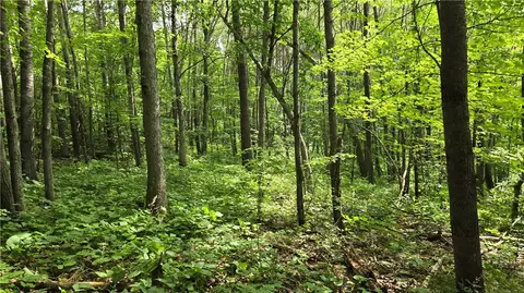 27685 Alden Rd, Webster, WI 54893 photo 22