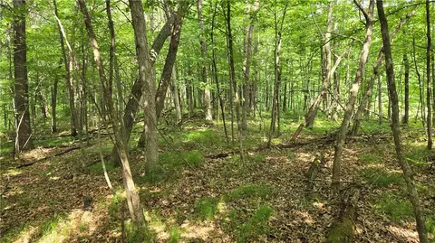 27685 Alden Rd, Webster, WI 54893 photo 9