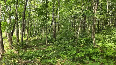 27685 Alden Rd, Webster, WI 54893 photo 28