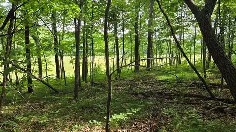 27685 Alden Rd, Webster, WI 54893 photo 4