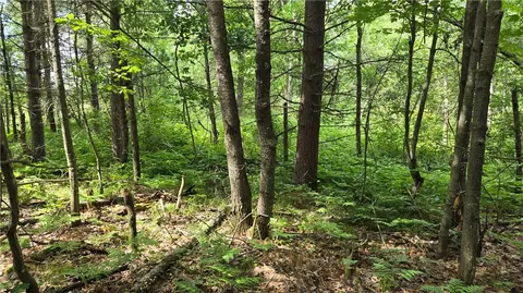 27685 Alden Rd, Webster, WI 54893 photo 32