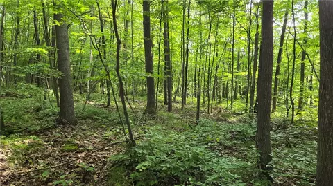 27685 Alden Rd, Webster, WI 54893 photo 16