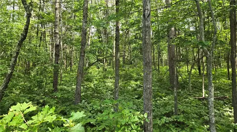 27685 Alden Rd, Webster, WI 54893 photo 29