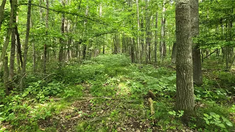 27685 Alden Rd, Webster, WI 54893 photo 21