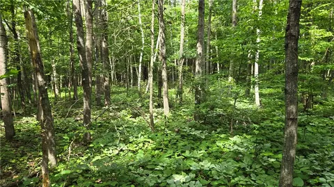 27685 Alden Rd, Webster, WI 54893 photo 11
