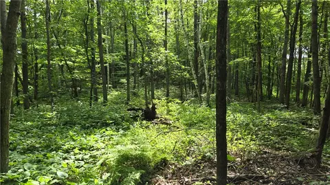 27685 Alden Rd, Webster, WI 54893 photo 13