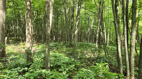 27685 Alden Rd, Webster, WI 54893 photo 12